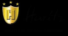Hanseatischer Sparkassen- und Giroverband logo