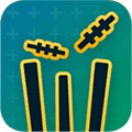 Gullycricket logo