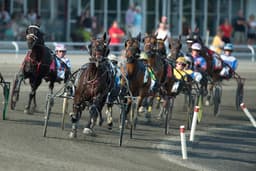 Mohawk Racetrack logo