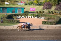 Northlands Park logo