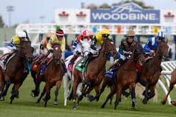 Woodbine Racetrack logo