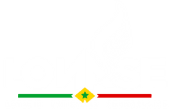 Lonase logo