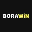 borawin logo