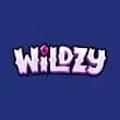 wildzy logo