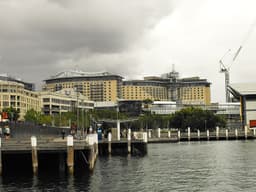 Star Sydney logo
