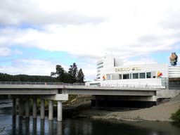 Casino Marina del Sol Osorno logo