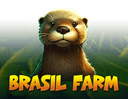 Brazil Farm
