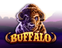 Buffalo (RGS)