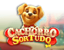 Cachorro Sortudo