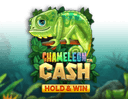 Chameleon Cash