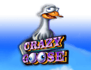 Crazy Goose