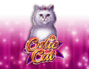 Cutie Cat