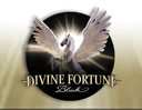 Divine Fortune Black