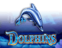 Dolphins