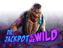 Dr. Jackpot & Mr. Wild