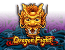Dragon Fight