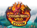 Dragons of Arcane Wild