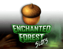 Enchanted Forest