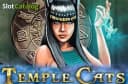 Endorphina Temple Cats