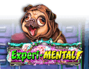 Experi-mental