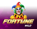 Fortune Wild