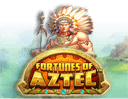 Fortunes of the Aztec