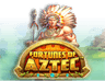Fortunes of the Aztec