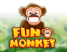 Fun Monkey