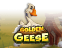 Golden Geese