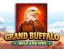 Grand Buffalo Hold & Win