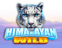 Himalayan Wild