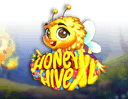 Honey Hive XL