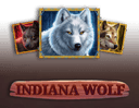 Indiana Wolf