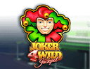 Joker 4 Wild