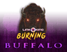 Link King Burning Buffalo