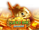 Lucky Koi Exclusive