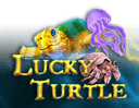 Lucky Turtle