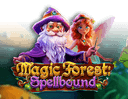 Magic Forest: Spellbound