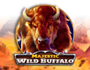 Majestic Wild Buffalo