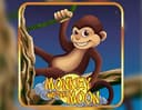 Monkey and the Moon