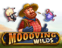 Moooving Wilds