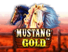 Mustang Gold