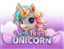 Newborn Unicorn
