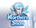 Northern Snow
