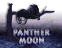 Panther Moon