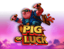 Pig Of Luck