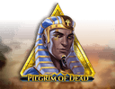 Pilgrim of Dead
