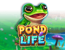 Pond Life