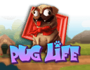 Pug Life