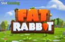 Pushgaming Fat Rabbit